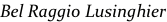 shapeimage_1_link_1